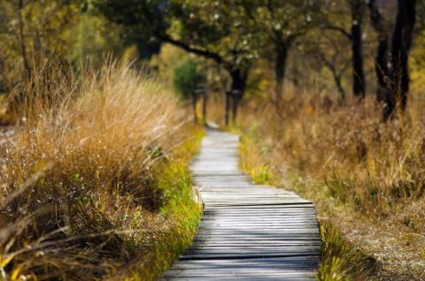 Der Weg ist das Ziel.